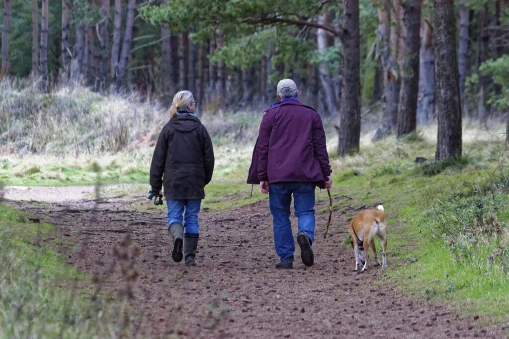 Get More Out of Walking 4 2025 - dog walking 1070076 1920